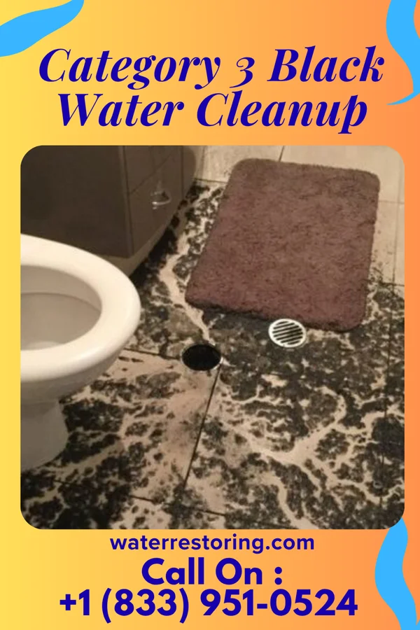 Category 3 Black Water Cleanup in Rolling Fields, KY