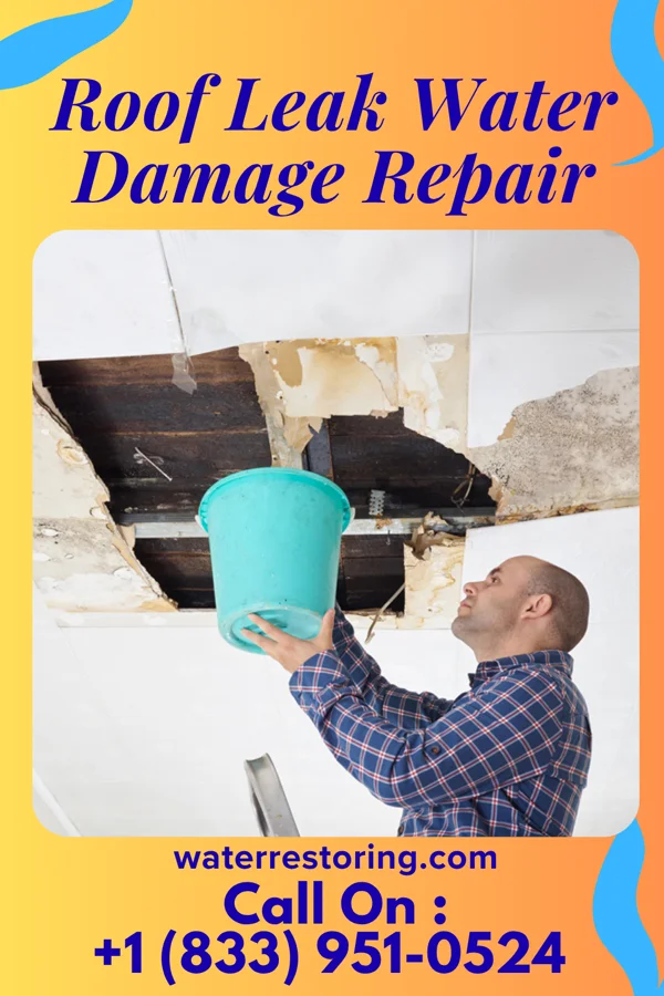 Roof Leak Water Damage Repair in Rolling Fields, KY